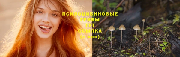 мет Зеленодольск