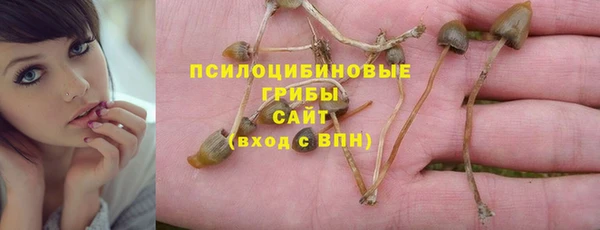 мет Зеленодольск