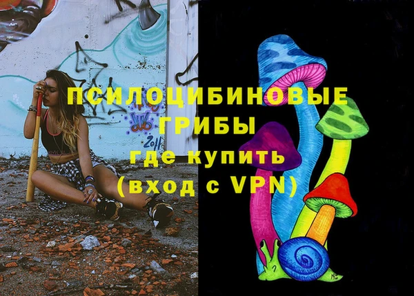 амф Щигры