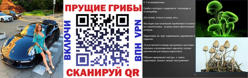 kraken зеркало  Петров Вал  Псилоцибиновые грибы ЛСД  хочу наркоту 